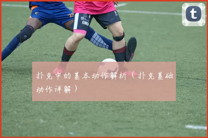 扑克中的基本动作解析（扑克基础动作详解）