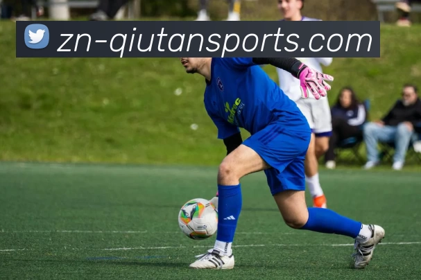 球探比分服务体系